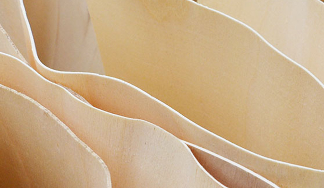 豐富的生產(chǎn)管理經(jīng)驗(yàn)